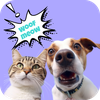 Pet Translator: Dog & Cat Talk