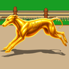 Dog Racing