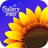 Gallery - Photo Video