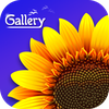 Gallery - Photo Video