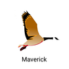 Maverick WGC