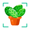 Plant Identifier AI