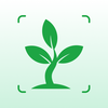 Plant Identifier - Plant Care