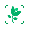 Plant Identifier: AI Plant App