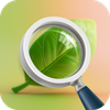 Plant Care - AI Identifier