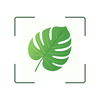 Plantio:Plant Identifier-Care