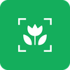 Plantofy: Plant Identifier App