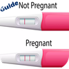 Pregnancy Test & Signs Guide