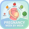 Pregnancy Week by Week