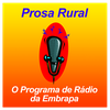 Prosa Rural