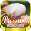 Proverbios Bíblicos y Libro