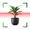 Plant identifier - Picturethis