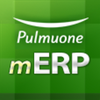 풀무원 mERP