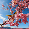 Lovely Sakura Wallpapers