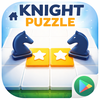 Knight Brain Puzzle - TestLab