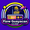 Radio Flow Guayacán Colimes