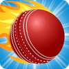 Cricket Games Puzzle Match