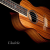 Ukulele Instrument