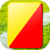 red yellow card