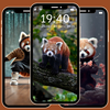 Kawaii Red Panda Wallpaper 4K