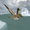 Sparrows Bird Fly Sky Sim 3d