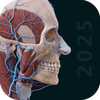 Anatomy 3D Atlas | Human Body