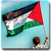 Palestine Flag Wallpapers