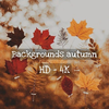 Backgrounds autumn