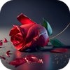 Rose Flower Images