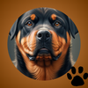 Rottweiler Wallpaper