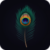 Peacock Feather Wallpaper 4k