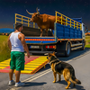 Animal Truck Driver Game 2026
