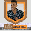 andualem gosaa music bilillee