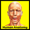 Essential Human Anatomy