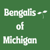 Bengalis of Michigan