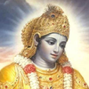 Bhagavad Gita Hindi -भगवद गीता