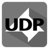 UDP Monitor