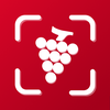Wine ID: AI searcher & tracker