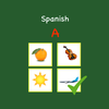 Learn Spanish Basics