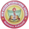 New Vision Int School
