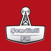 Radyo Şemdinli FM