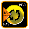 Music Format Converter Pro