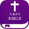 NRSV Study Bible