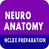 Neuroanatomy Quiz