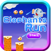 Temper Elephant Run