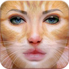 Animal Face Photo Editor