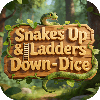 Snakes Up & Ladders Down-Dice