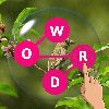 Word Connect Find Words Puzzle
