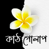 কাঠ গোলাপ - উপন্যাস