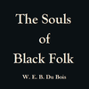 The Souls of Black Folk eBook